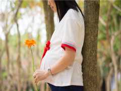 怀孕期间子宫肌瘤变性液化疼痛难忍怎么办？中医保胎真实医案