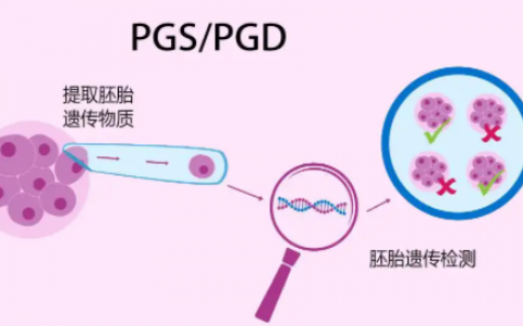 南方医科大学汪丽萍教授个人简历与试管技术深度解析