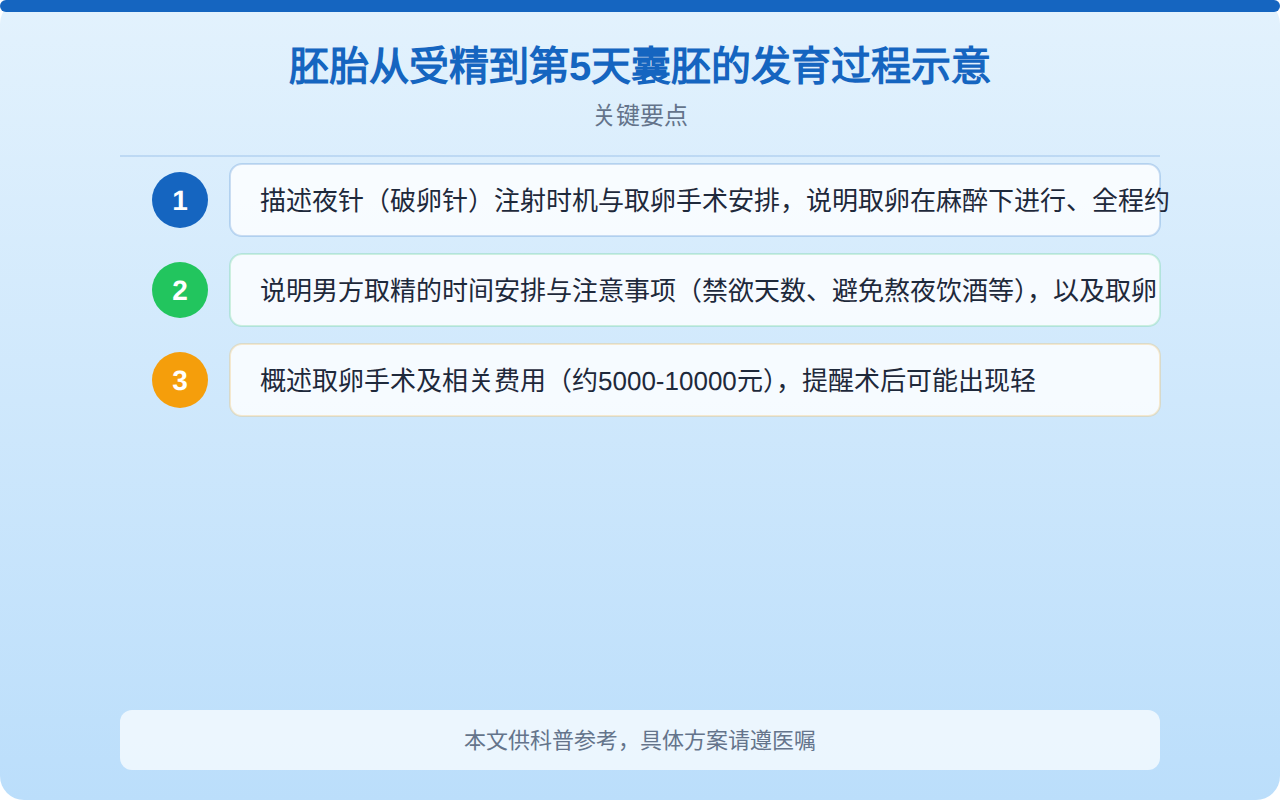 胚胎从受精到第5天囊胚的发育过程示意